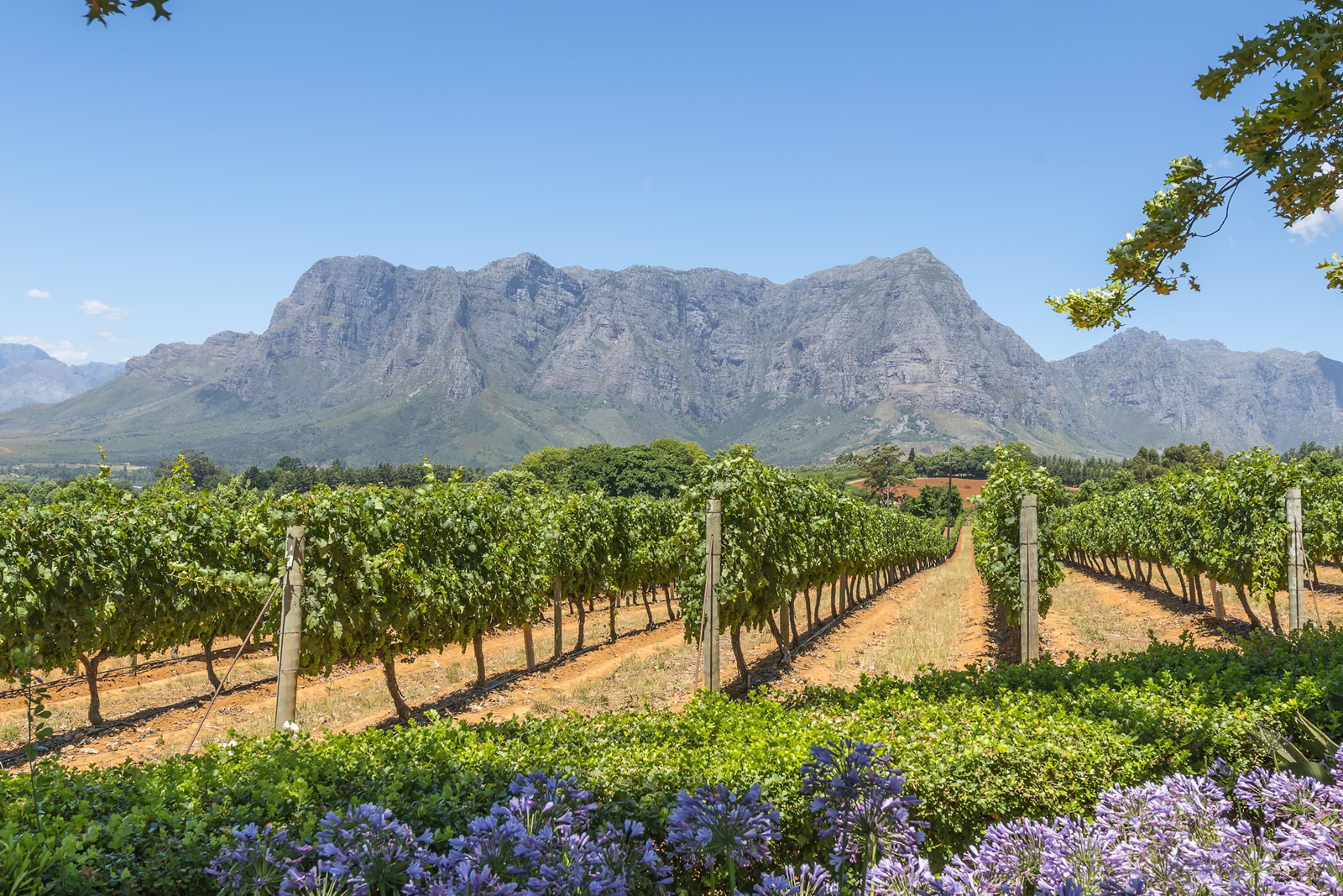 PerryGolf | South Africa Golf and Hotel Finder